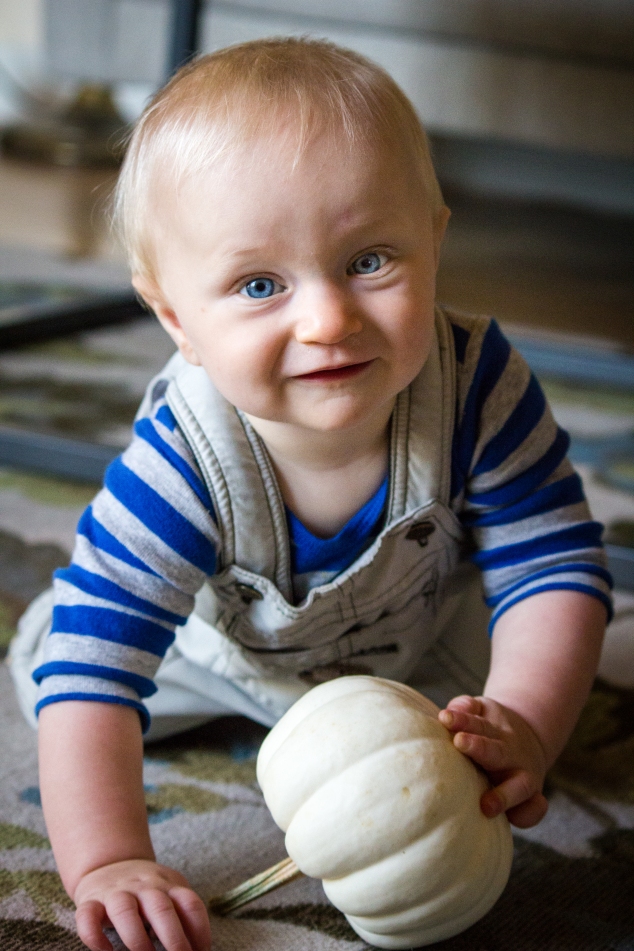The little cherub I nanny, getting his fill of pumpkins :)